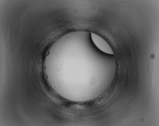 X0000100760498200806190913