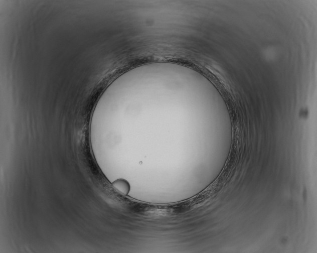 X0000100760499200806190913