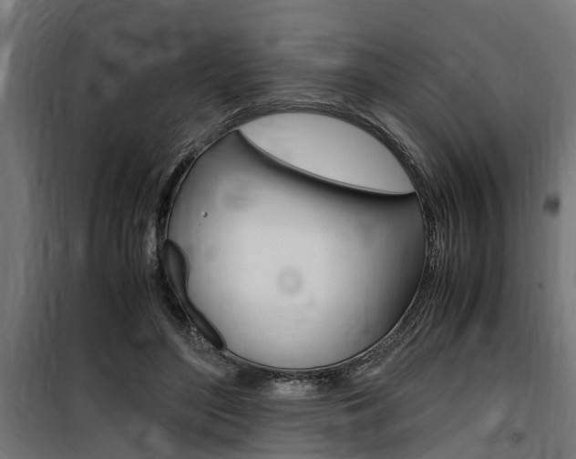 X0000100760500200806190912