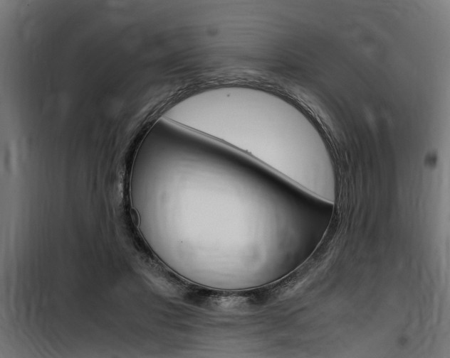 X0000100760501200806190912