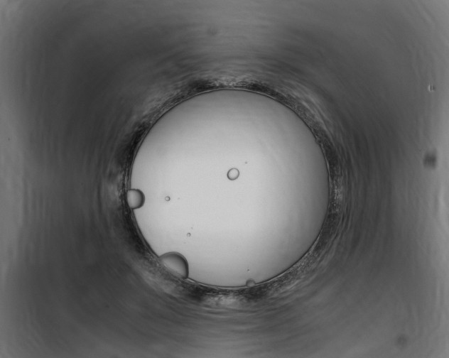 X0000100760503200806190912