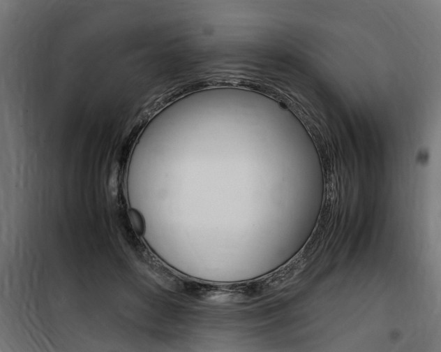 X0000100760504200806190912