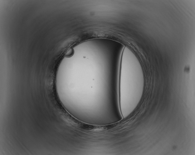 X0000100760505200806190912