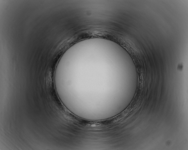 X0000100760506200806190912