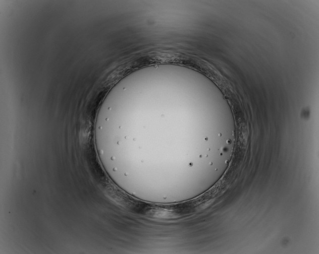 X0000100760507200806190912