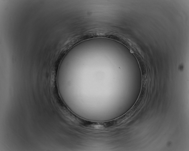 X0000100760509200806190912