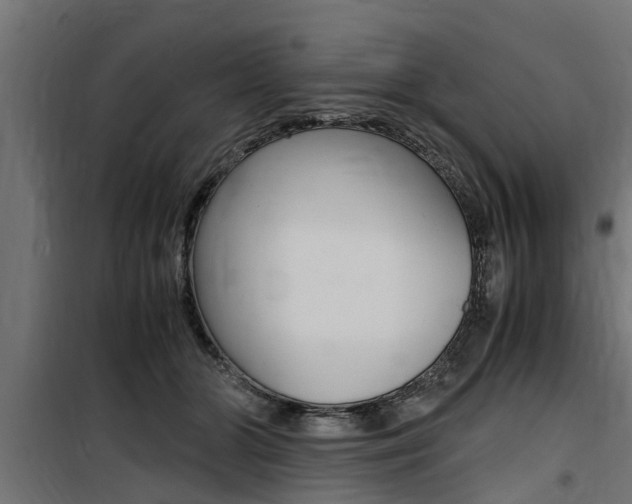 X0000100760510200806190912