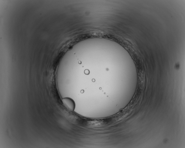 X0000100760511200806190912