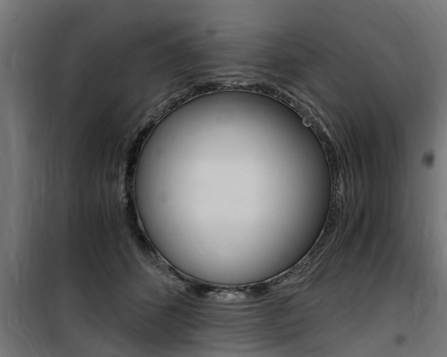 X0000100760512200806190912