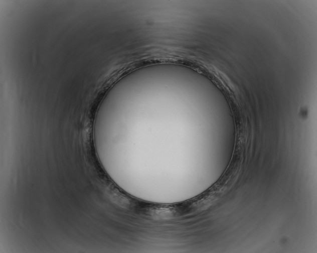 X0000100760513200806190912