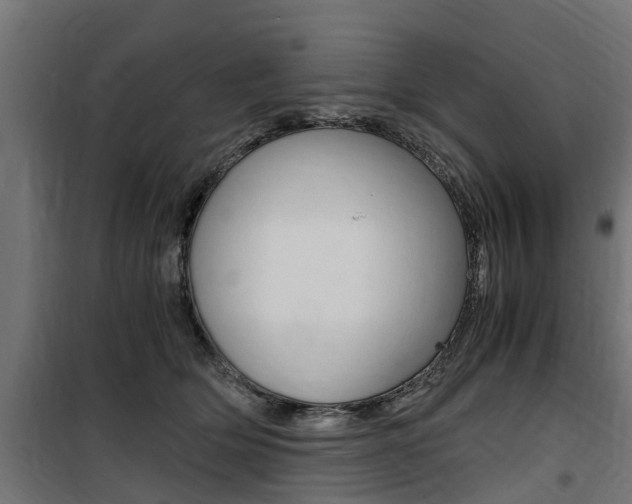 X0000100760514200806190912