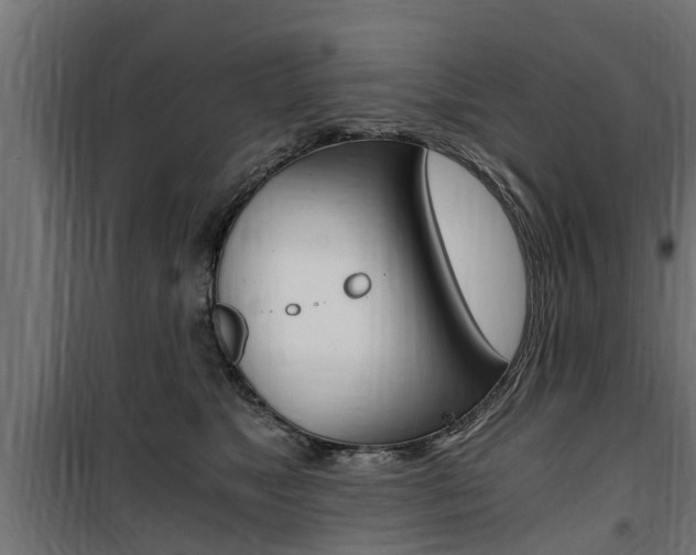 X0000100760517200806190912