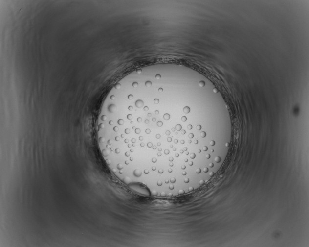 X0000100760519200806190912