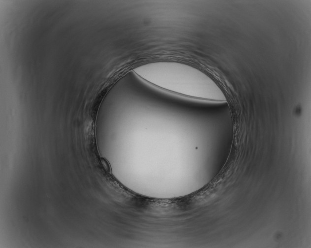 X0000100760521200806190912