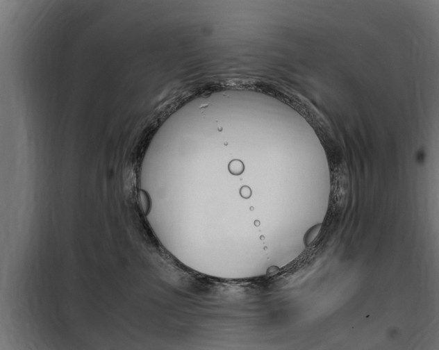 X0000100760523200806190912