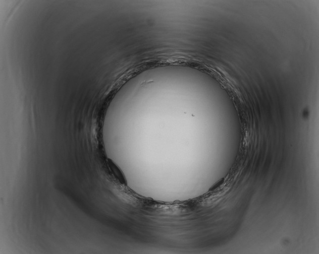 X0000100760524200806190912