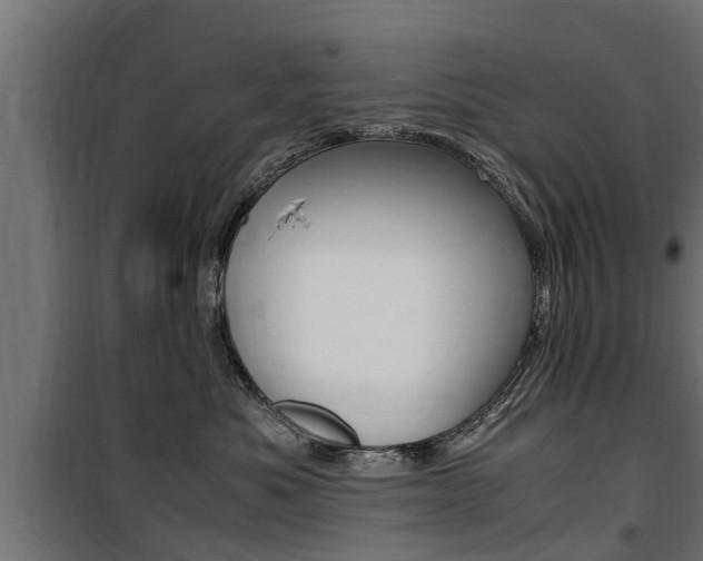 X0000100760525200806190912