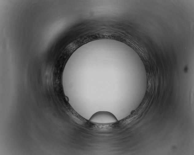 X0000100760526200806190912