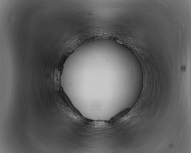 X0000100760528200806190912