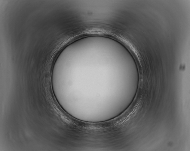 X0000100760529200806190911