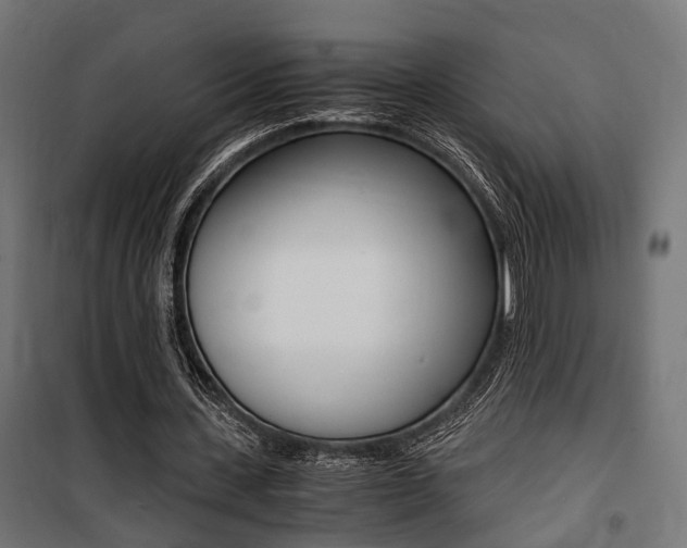 X0000100760531200806190911