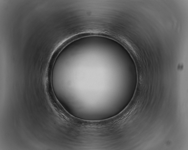 X0000100760532200806190911