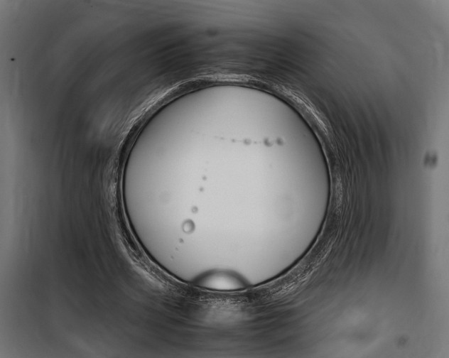 X0000100760533200806190911