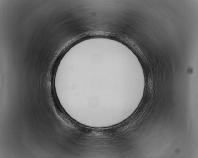 X0000100760534200806190911