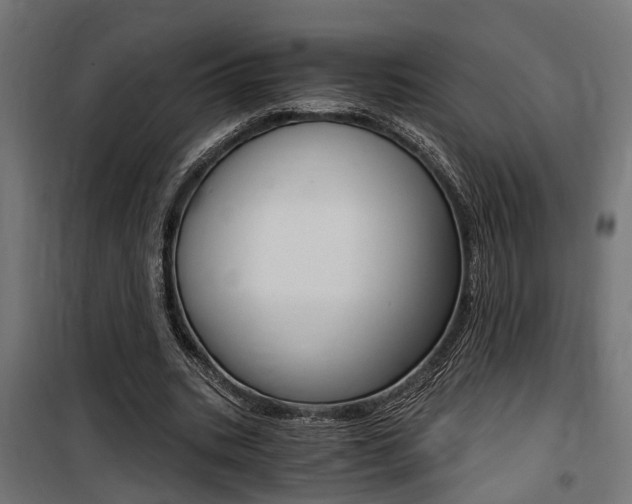 X0000100760535200806190911