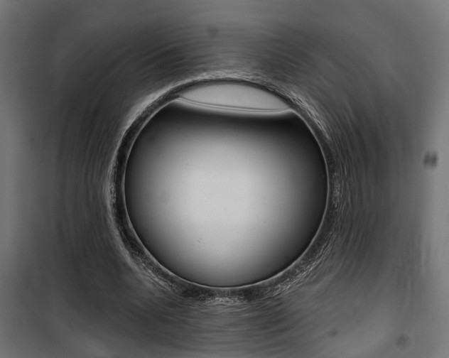 X0000100760536200806190911