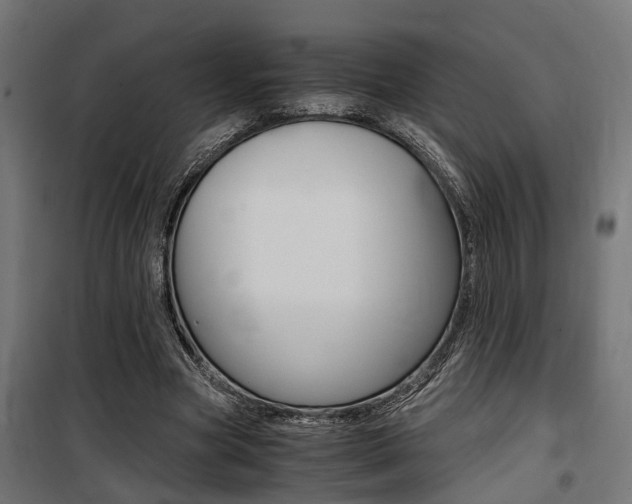 X0000100760537200806190911