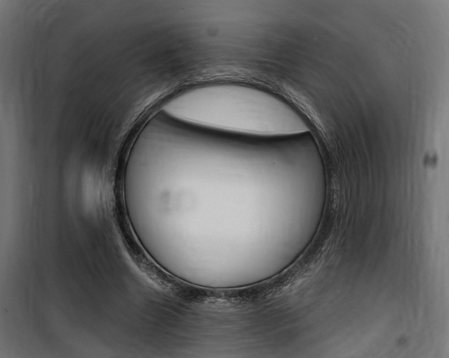 X0000100760538200806190911