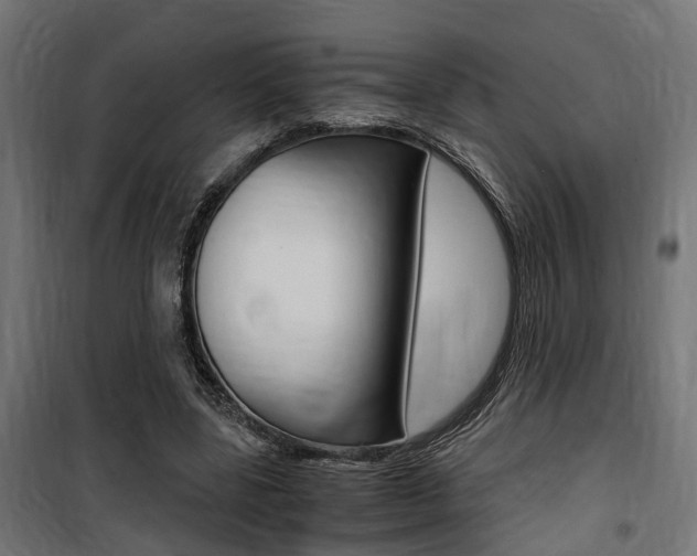 X0000100760539200806190911