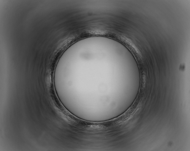 X0000100760541200806190911