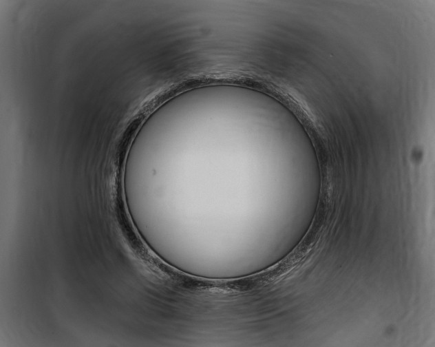 X0000100760542200806190911