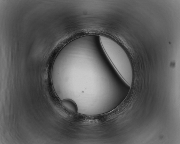 X0000100760543200806190911