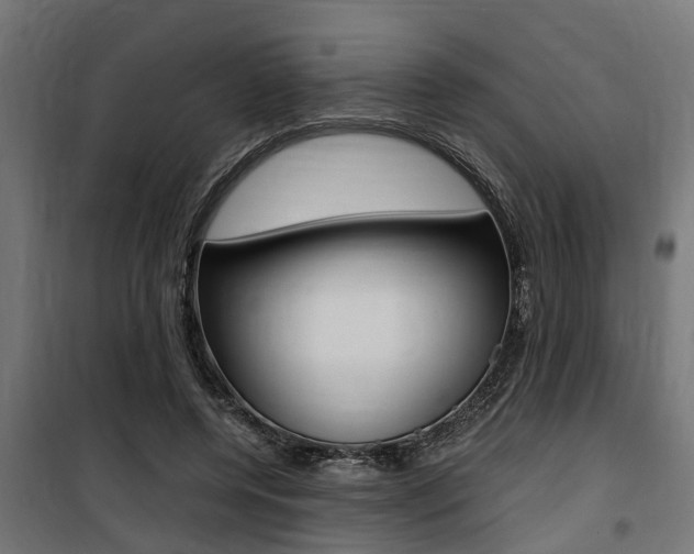 X0000100760544200806190911