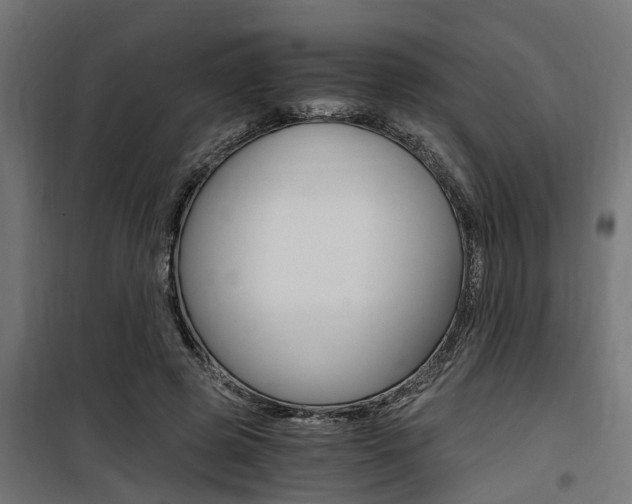 X0000100760545200806190911