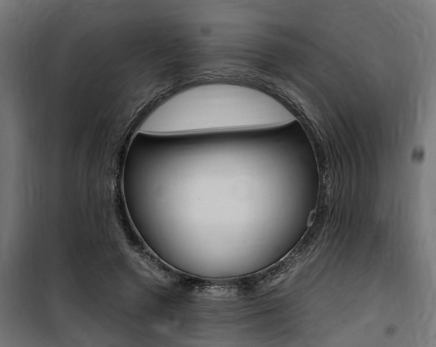 X0000100760546200806190911