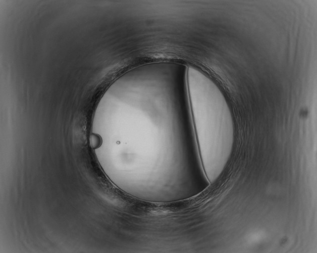 X0000100760547200806190911