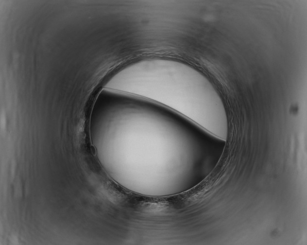 X0000100760548200806190911