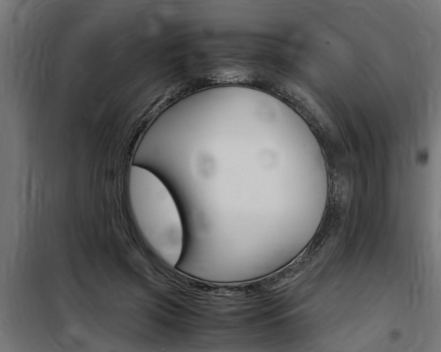 X0000100760549200806190911