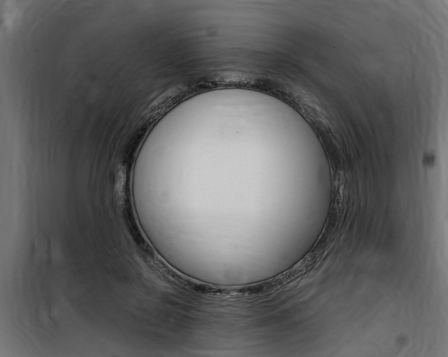 X0000100760550200806190911