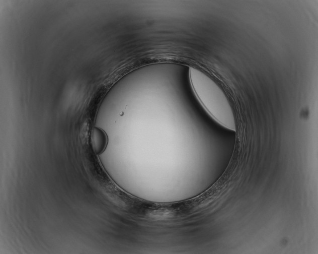 X0000100760551200806190911