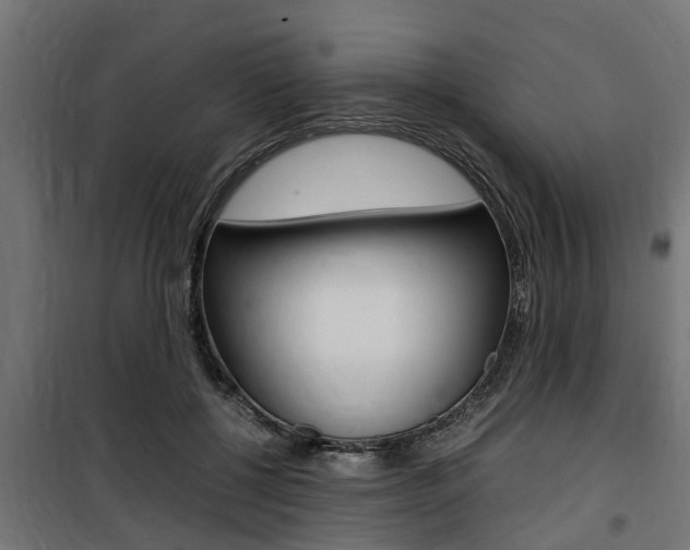 X0000100760552200806190911