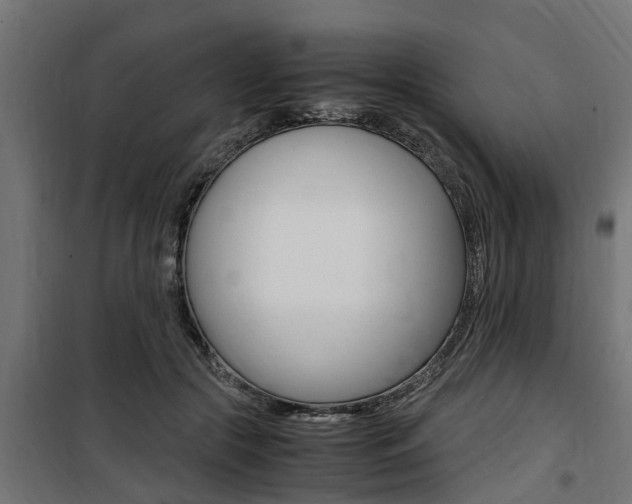 X0000100760553200806190911