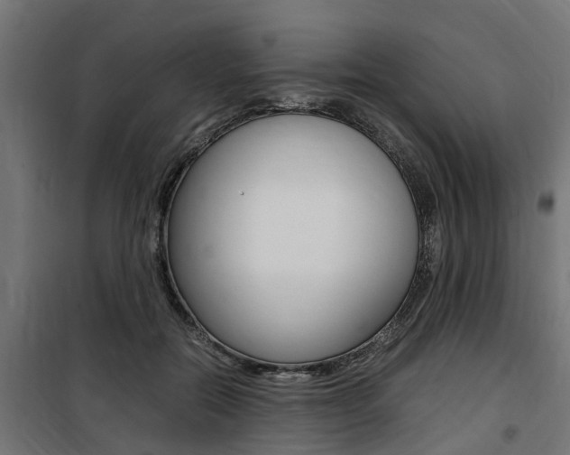 X0000100760554200806190912