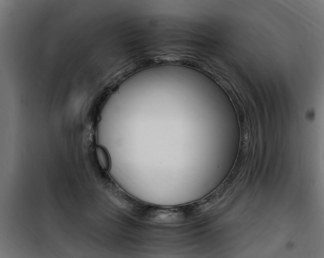 X0000100760555200806190912