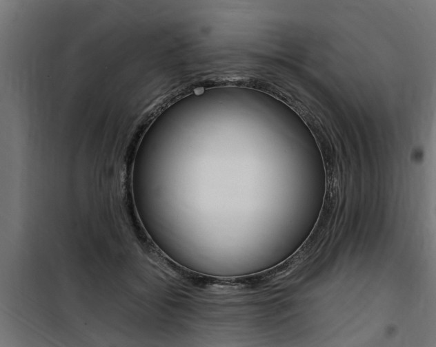 X0000100760556200806190912