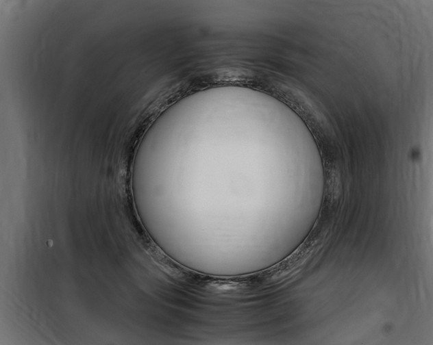 X0000100760557200806190912